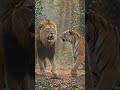 epic wild battle🔥 #wildlifebattle #wildlife #amazingwildlife #animalbattle#animals #epicmoments#usa