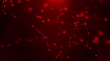 Red Plexus Background Stock Motion Graphics