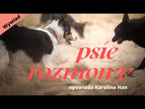 Wideo: Jak Osiągnąć Zrozumienie W Komunikacji