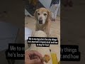 He Sat for the First Time 🥺🐶 | Emotional Dog Training Moment | Heart-Touching Video
