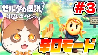 辛口モードでゼルダの伝説知恵のかりものを初見プレイ Part3【ゼルダの伝説 知恵のかりもの】