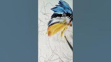 chipping sparrow bird song #shorts