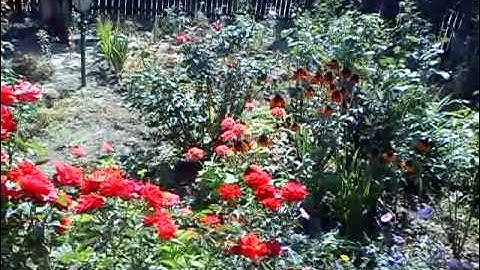 xperia x8  test video ( android 2.1)