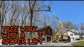 #220 Taking Down and Pruning Trees with a Spider Lift