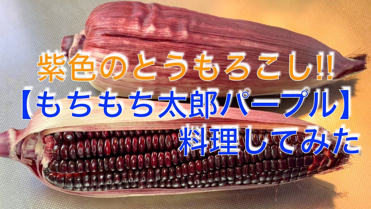 とうもろこし【もちもち太郎パープル】紫色のとうもろこし料理してみた - YouTube