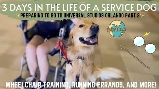 3 Days in the Life of a Service Dog! | Universal Stuidos Mini Series pt 2