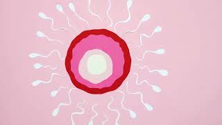 Why Bubbles Are Perfect Spheres (And Why They Betray You)