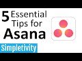 5 Asana Tips That Will Save You Time (Task Management)