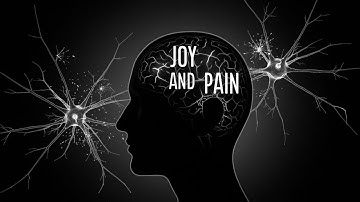 Note Fracker- Joy and Pain