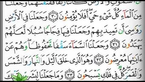 مصحف التجويد صفحة 324 ابراهيم الأخضر