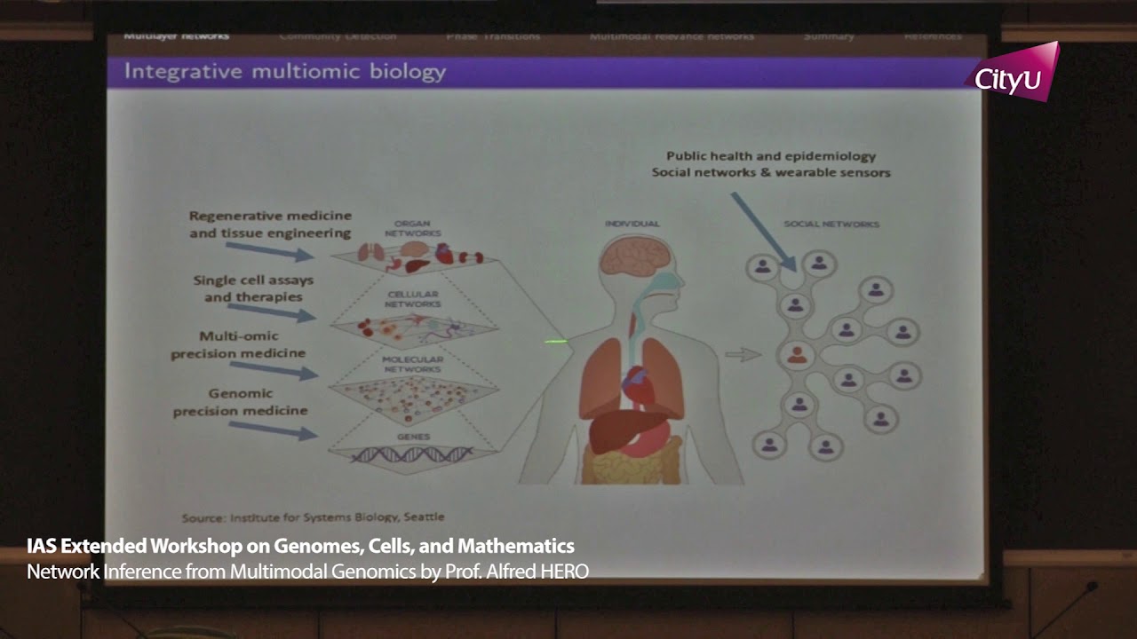 20180704-1 - IAS Extended Workshop by Professor Alfred HERO