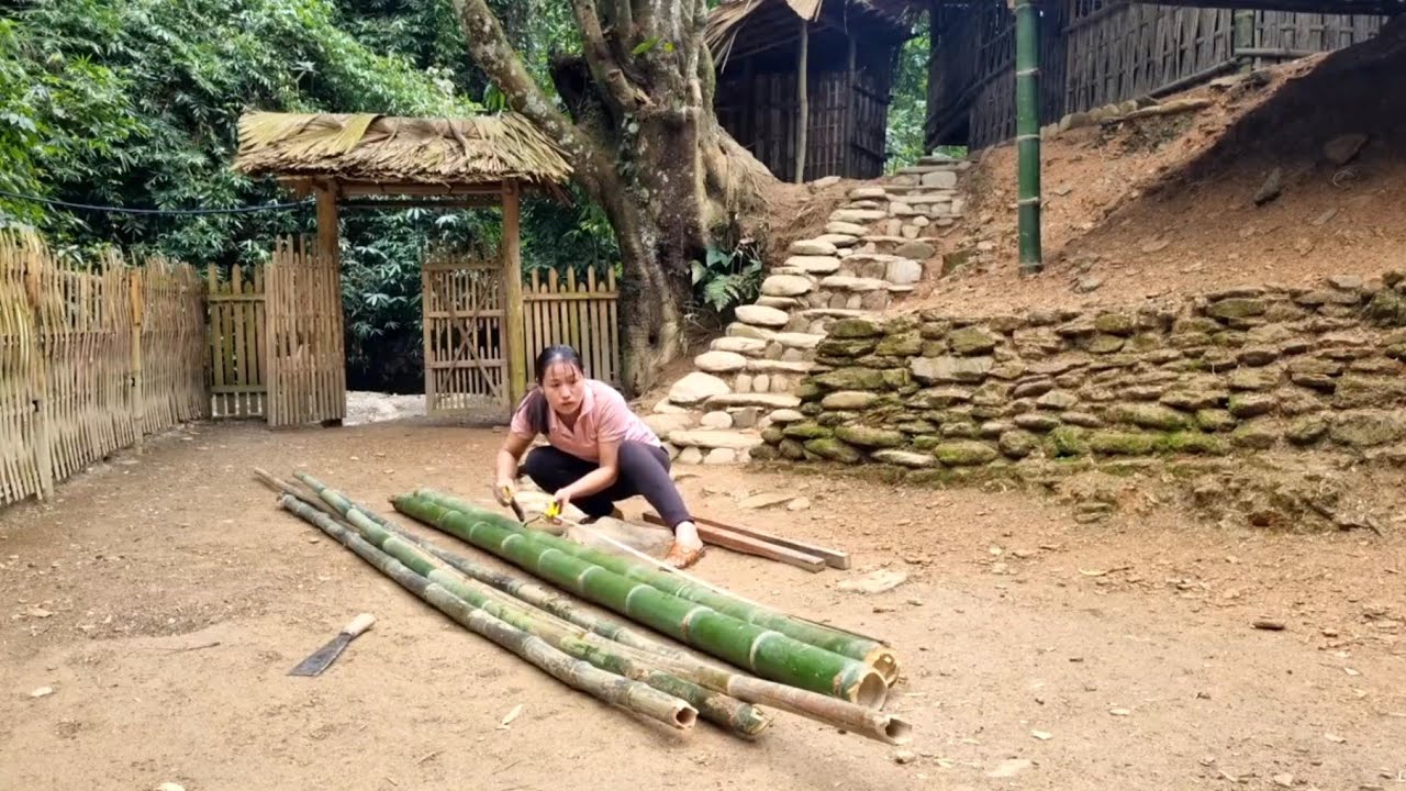 8 Days to Build a New Farm: Design a Birdhouse, Cook, and Care for Pets | Lý Thị Viện