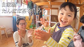 【自家製たんぽぽ茶を作ろう】授乳中の妻の免疫力向上作戦！/母乳育児/出産/産後/新生児