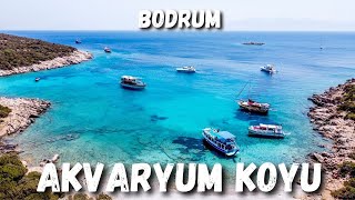 Bodrum Akvaryum Koyu Tekne Turu - Bodrum Tekne Turu - Bodrum Boat Tour - Bodrum Turkey