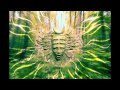 Shpongle - Before the Big Bang