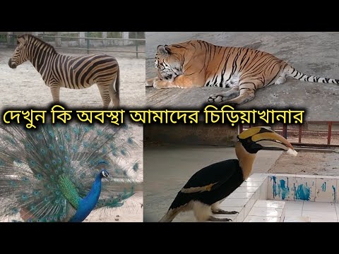 বাংলাদেশ জাতীয় চিড়িয়াখানা | Bangladesh National Zoo All Animals | Dhaka Mirpur Zoo