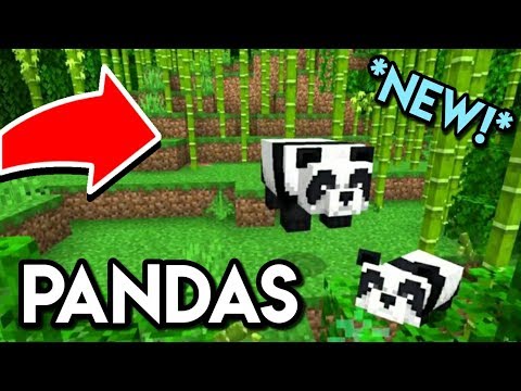How to easily find the new Pandas in Minecraft !!! ( BEST WAY )