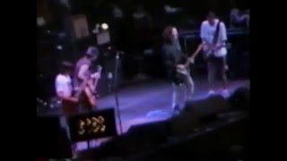 Pearl Jam - 1995-07-11 Chicago, IL (Full Concert) - YouTube