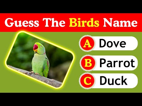 Guess The Bird From The  Image || Guess The Bird By Picture