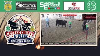 2026 Custer County Fair Day 3a (Stocker Feeders, Heifers, goats, dairy, bucket calves)