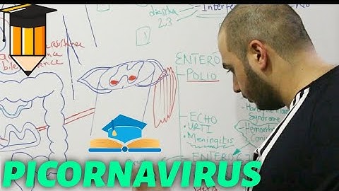 Microbiology | PICORNAVIRUS | RNA VIRUSES (PART 2) | HIGH YIELD