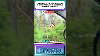 Mother Nearly Faints When Snake Crawls On Her Car Window short viral shorts fyp