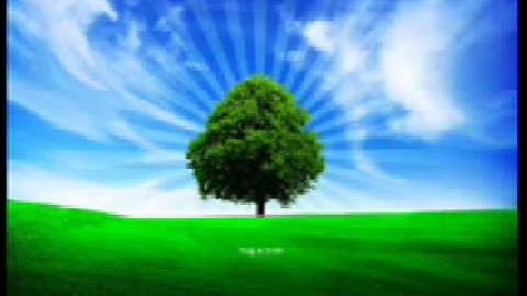 هشام عبدالباري """ قران كريم