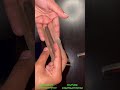Rolling a BACKWOOD with holes!!