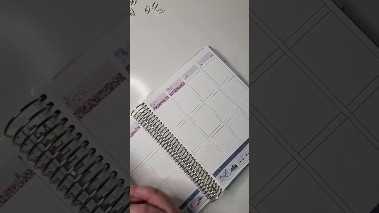 Weekly Plan With Me in the Erin Condren Life Planner Vertical Part 1 