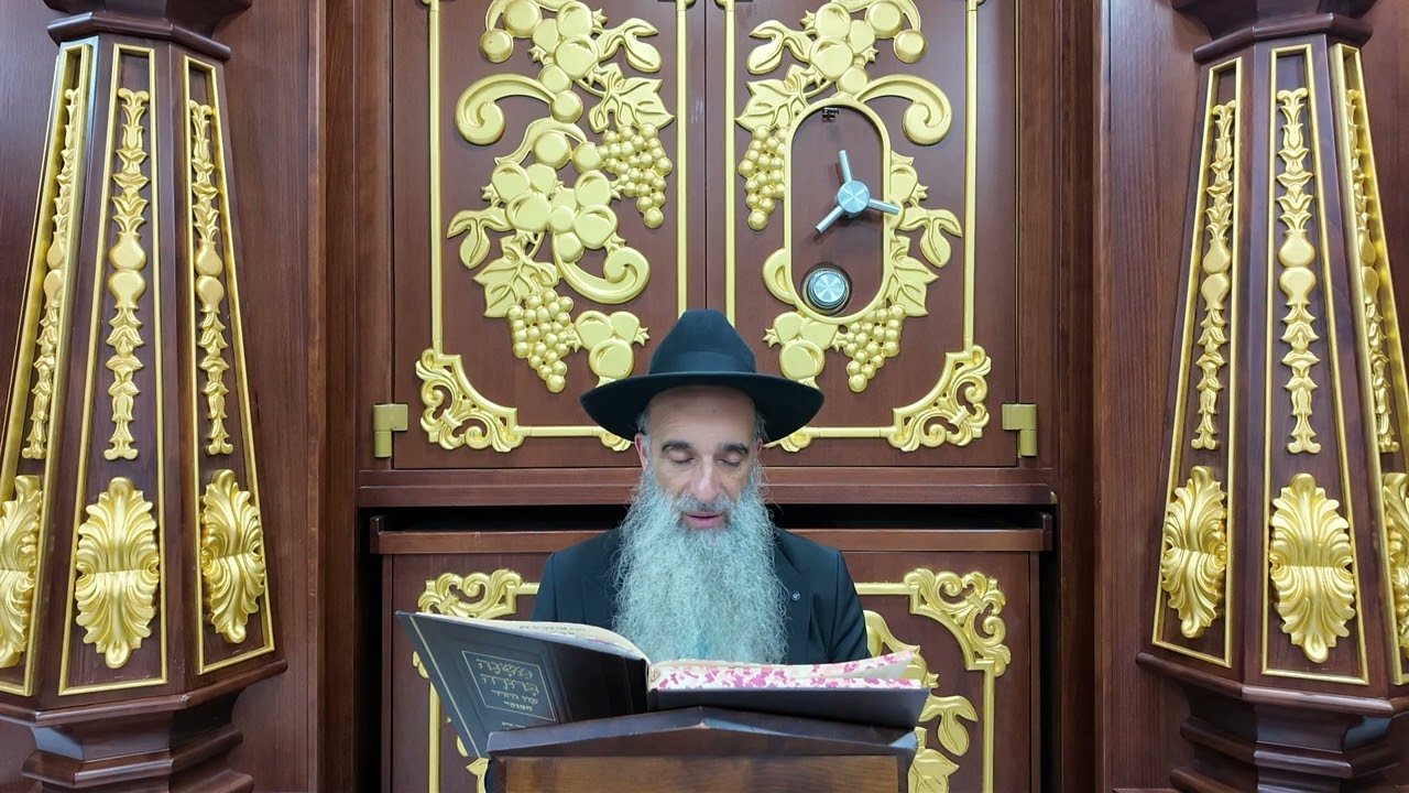 הרב מאיר דוד שמואלי - בדיקת חמץ סימן תל"א - תל"ט