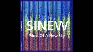 Watch Sinew The Skins I Wear video