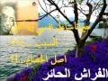 حيران اساءل نفسي ايه كان السبب ...!!؟؟