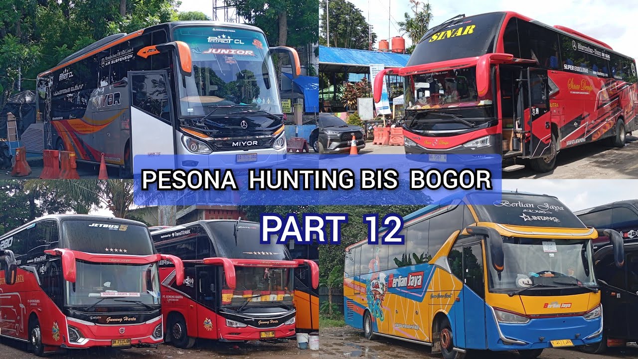 Pesona Hunting Bis Bogor Part 12