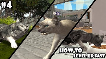 Ultimate Cat Simulator -Level 55- How to Level Up Fast - Android/iOS - Gameplay Episode 4