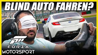 Blind Rennen fahren dank Forza Motorsport?