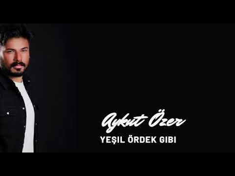 Aykut ÖZER -  ' Yeşil ördek gibi ' Canlı Performans