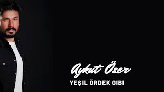 Aykut ÖZER -  ' Yeşil ördek gibi ' Canlı Performans Resimi