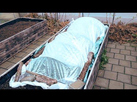 How to protect your plants from sudden cold in spring