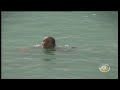 IWWF World Cup Palembang, Indonesia 2013 - Saturday Live Feed replay
