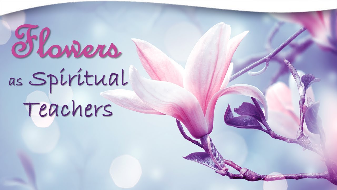 Flowers as Spiritual Teachers | Tess Whitehurst