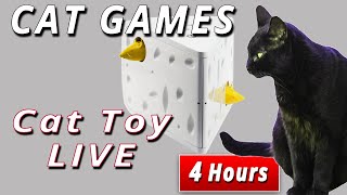 Cat Games - Cheese Wedge -  LIVE - 4 Hours! by Deer Lodge Wildlife & Nature Channel 520 views 8 months ago 4 hours