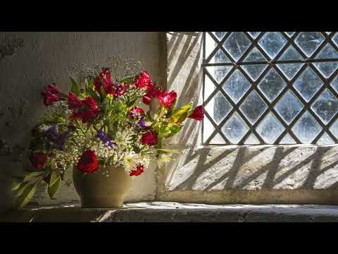 خدتو ايه وائل جسار