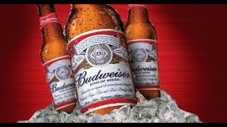 #169 Budweiser KIng Of Beers 4.8% USA