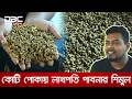 পোকা বেচেই ভাগ্য বদল শিমুলের | DBC News Special