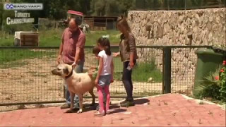 Bbom - Başka Bir Okul Mümkün Derneği Tanıtımı - Fark Yaratanlar