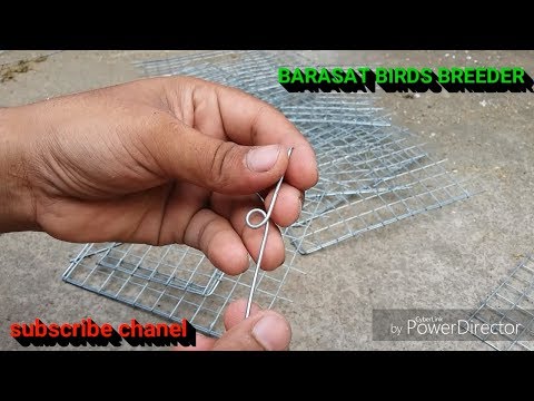 Video: Mamlakatda DIY Panjara