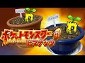 【実況】ヒマナッツが瀕死になったら「現実でひまわりを育てる」縛り(Part②)
