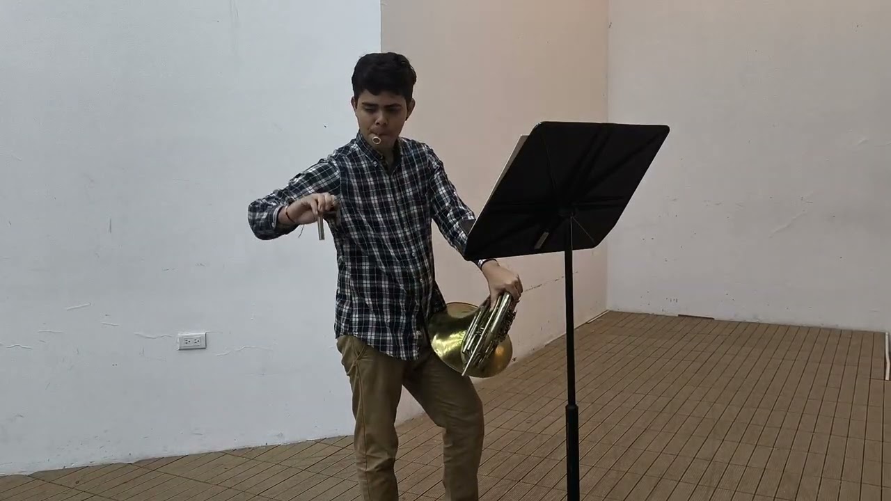 David Molina- Trompita venezolano- Audícion 