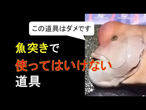 スピアフィッシング 4メートル 二本継 お買い得品 - スピアフィッシングワークス通販サイト