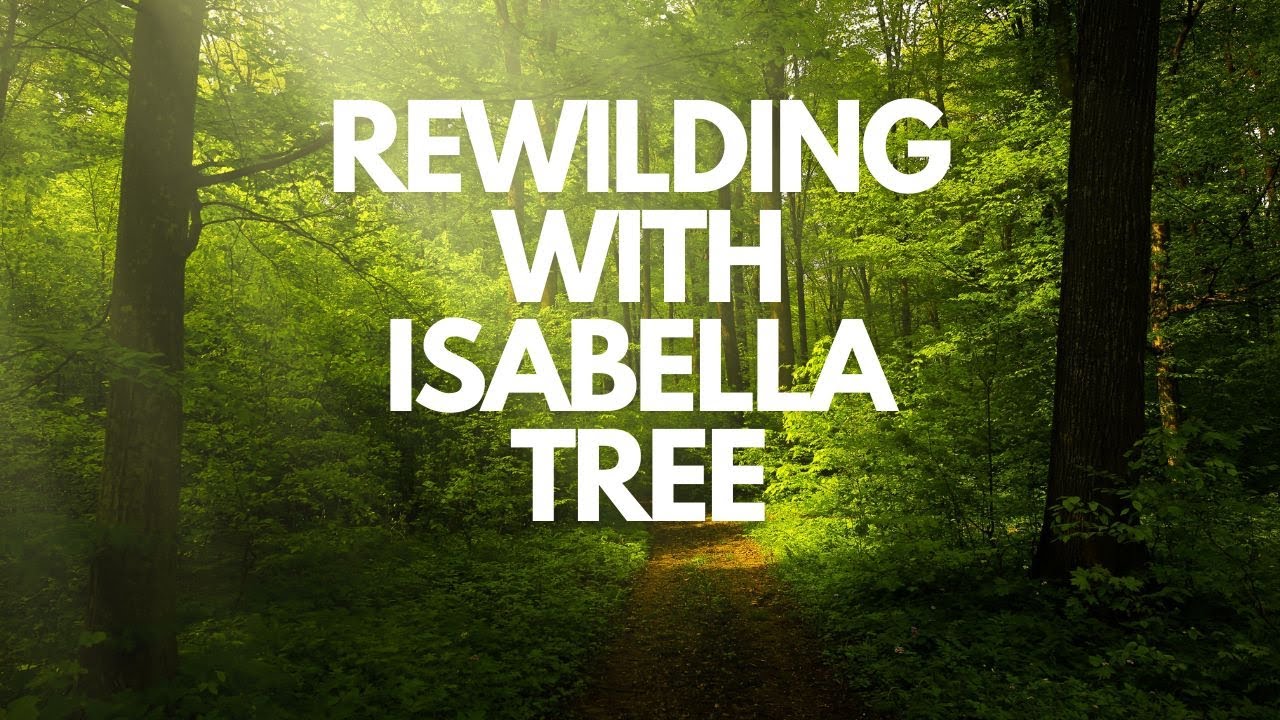 Rewilding with Isabella Tree - YouTube
